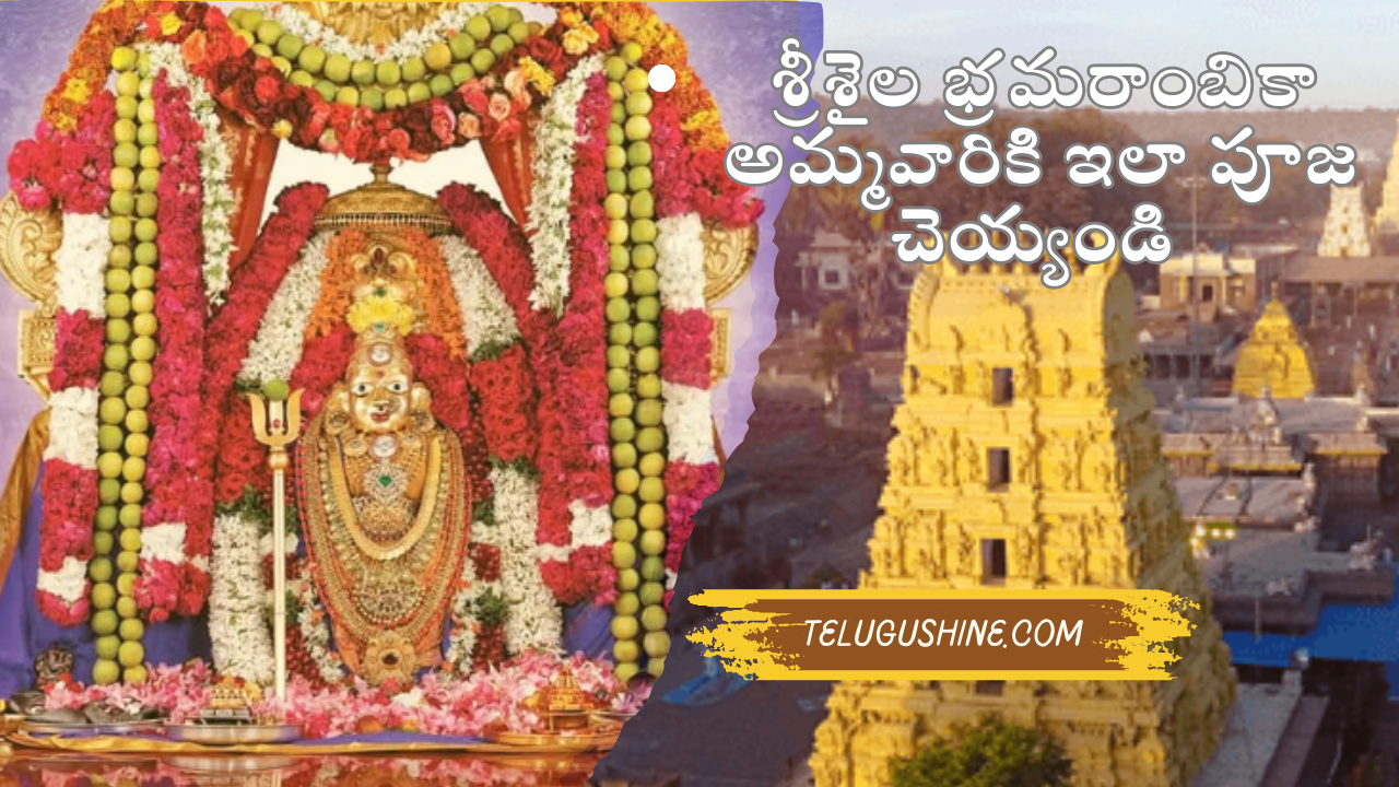 Srisailam bhramaramba ammavari pooja