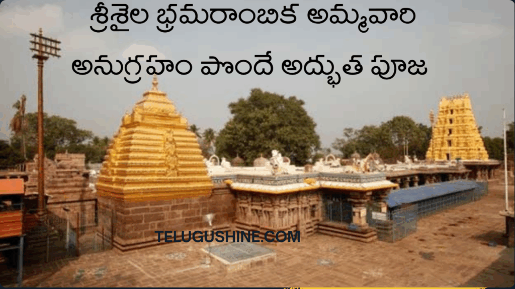 Srisaila Bramarambika Ammavari Pooja