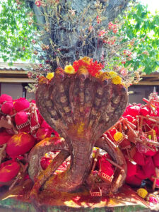 Mopidevi Temple Timings and History