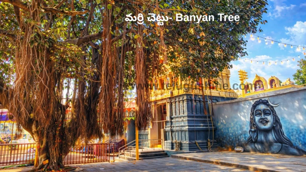 Beeramguda Shivalayam Temple