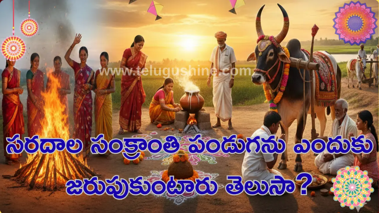 Makar Sankranti 2026